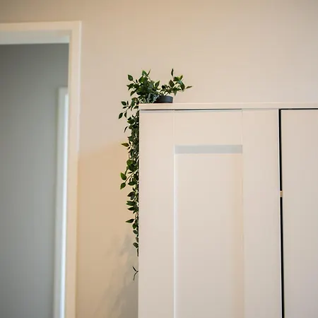 Alphabet -2e Pijnackerstraat 13 Апартаменты *