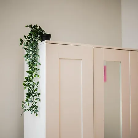 Alphabet -2e Pijnackerstraat 13 Διαμέρισμα Ρότερνταμ