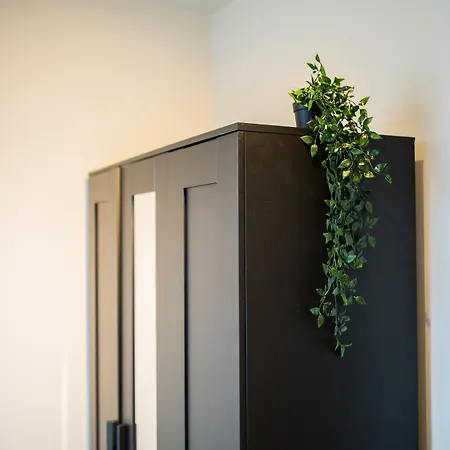 Appartamento 2e 3e Pijnackerstraat Rotterdam