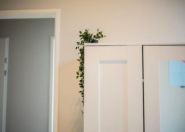 Alphabet -2e Pijnackerstraat 13 Daire *