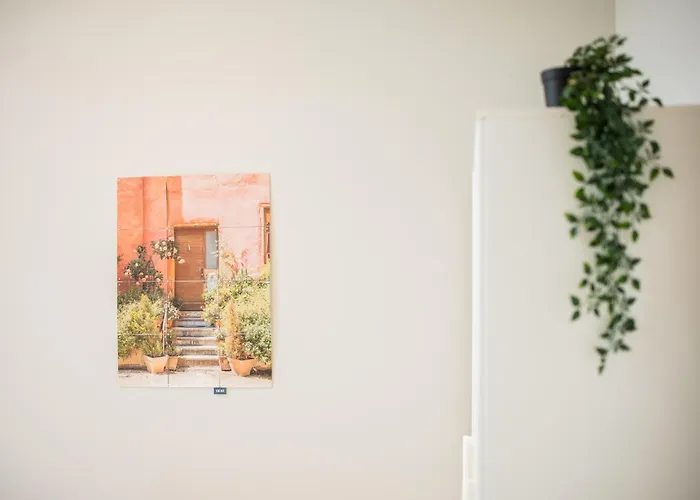 Alphabet -2e Pijnackerstraat 13