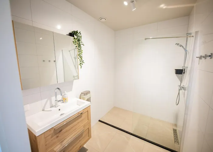 Alphabet -2e Pijnackerstraat 13 Appartement *